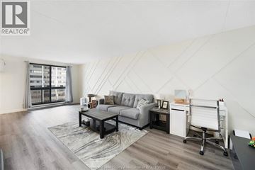 Windsor condo for rent - A modern living room with a grey sofa and a black coffee table.