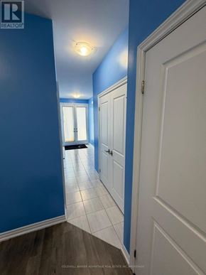 Welland (Lincoln/Crowland) apartment for rent - A hallway with blue walls and white doors.