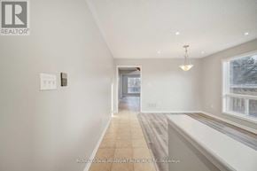 Milton (Be Beaty) apartment for rent - A well-lit, empty hallway with a window on the right side.
