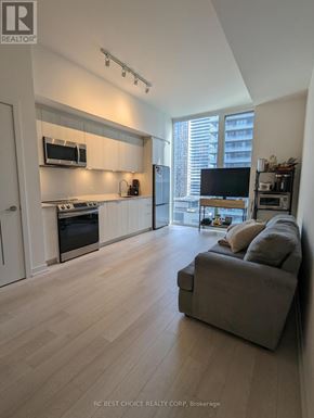 Toronto (Waterfront Communities) condo for rent - A modern kitchen with a grey couch and wooden flooring.