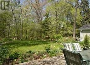 Toronto (Cliffcrest) apartment for rent - A backyard with a lawn and trees.