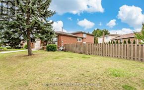 Mississauga (Cooksville) apartment for rent - A house with a brown fence and a tree in front of it.