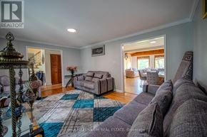 Brampton (Brampton East) apartment for rent - A living room with a grey sofa and a blue and white rug.
