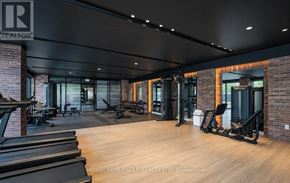 Toronto (Humber Heights) condo for rent - A gym with treadmills, weights, and exercise equipment.