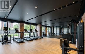 Toronto (Humber Heights) condo for rent - A gym with treadmills, elliptical machines, and weights.