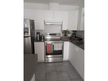 Gatineau (Gatineau) apartment for rent - A kitchen with a stainless steel refrigerator and white cabinets.