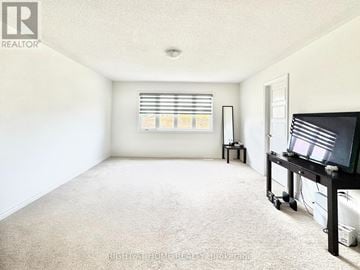 Barrie apartment for rent - A living room with a television and a window with blinds.
