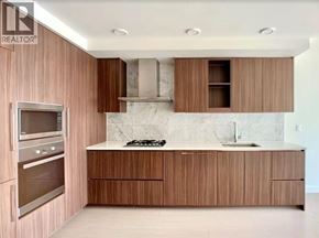Vancouver apartment for rent - A modern kitchen with wooden cabinets and a marble backsplash.