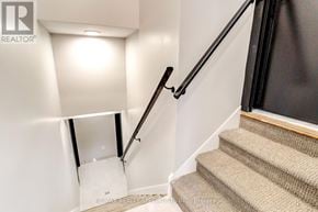 Burlington (Brant) apartment for rent - A stairway with a black handrail and beige carpeted stairs.