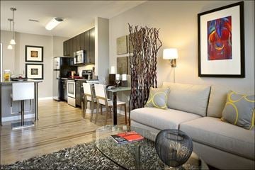Washington apartment for rent - A modern living room with a grey couch and a glass coffee table.