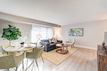 Alexandria apartment for rent - A living room with a grey couch, a white table and a green plant.