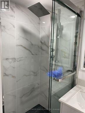 Mississauga (Port Credit) multi-family for rent - A white sink is in front of a glass shower door.