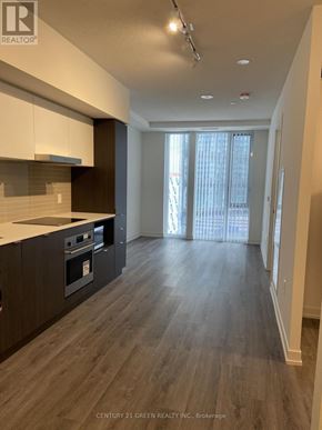 Toronto (Waterfront Communities) condo for rent - A spacious kitchen with dark wood floors and modern appliances.