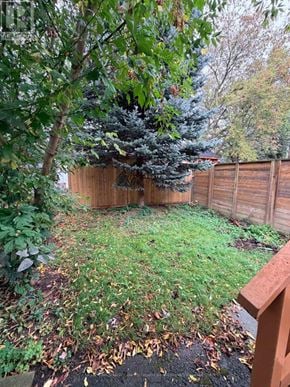 Toronto (Mimico) apartment for rent - A backyard with a wooden fence and a tree.