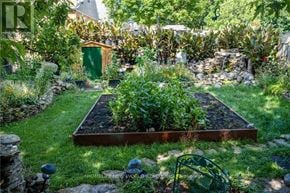 Hamilton (Eastmount) apartment for rent - A garden with a raised bed in the center and a shed in the background.