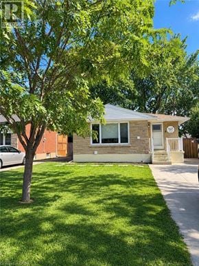 Hamilton apartment for rent - A house with a tree in front of it.