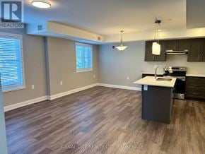 Thorold (Thorold Downtown) apartment for rent - A kitchen area with a counter and cabinets.