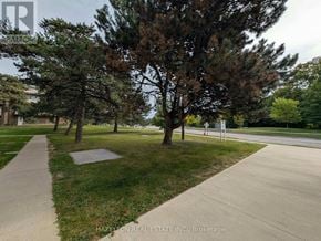 Toronto (Parkwoods-Donalda) condo for rent - A tree-lined walkway in a park setting.