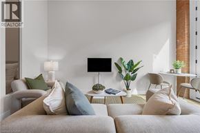 Hamilton apartment for rent - A living room with a grey sofa, a small table with a plant, and a television.