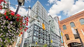 Toronto (Moss Park) condo for rent - A street view with a building in the background and a flower hanging in the foreground.