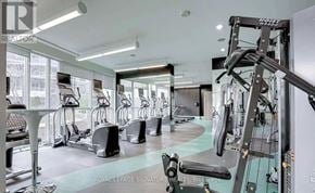 Toronto (Mimico) condo for rent - A gym with a variety of equipment including treadmills, stationary bikes, and weight machines.