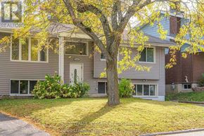 Ottawa apartment for rent - A tree with yellow leaves is in front of a grey house.