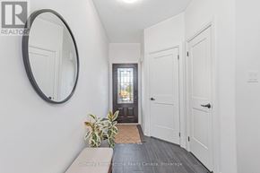 Collingwood apartment for rent - A hallway with a plant and a mirror on the wall.