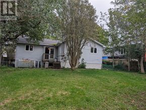St. John's multi-family for rent - A house with a tree in front of it.