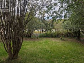 St. John's multi-family for rent - A tree in a yard with a fence in the background.