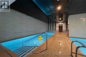 Toronto (Waterfront Communities) condo for rent - A small yellow rubber duck is in a rectangular indoor swimming pool.