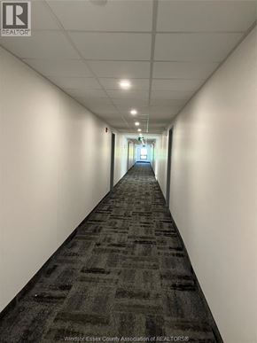 Windsor condo for rent - A long hallway with a carpeted floor and white walls.