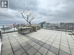 Vancouver apartment for rent - A rooftop patio with a concrete floor and a tree in a planter box.