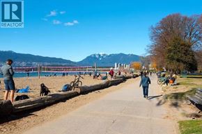 Vancouver apartment for rent - A woman is walking her dog on a sunny day at the beach.