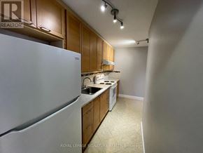 Toronto (Morningside) townhouse for rent - A kitchen with a white refrigerator, wooden cabinets, and a countertop.