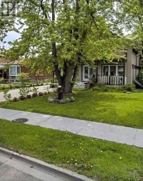 Toronto (Highland Creek) apartment for rent - A tree in a front yard with a house in the background.
