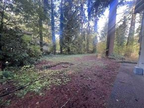 Surrey apartment for rent - A forest path with trees on either side and a clear sky above.