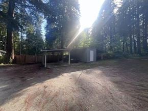 Surrey apartment for rent - A sunny day in a wooded area with a building and a shed.