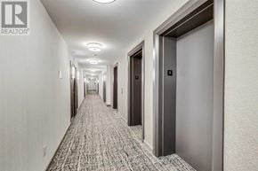 Toronto (Cabbagetown-South St. James Town) condo for rent - A long hallway with a carpeted floor and a series of doors on the right side.