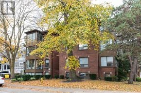 Toronto (The Beaches) multi-family for rent - A tree with yellow leaves in front of a brick building.