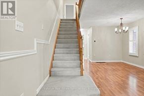 Oakville (Wt West Oak Trails) townhouse for rent - A staircase with a wooden handrail and a carpeted runner leads up to a second floor.
