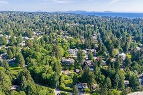 Surrey apartment for rent - A bird's eye view of a residential area surrounded by trees.