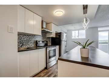 Gatineau (Hull) condo for rent - A kitchen with a black oven and a plant on the counter.