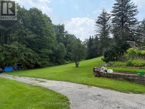 Whitchurch-Stouffville apartment for rent - A gravel path leads through a lush green yard.
