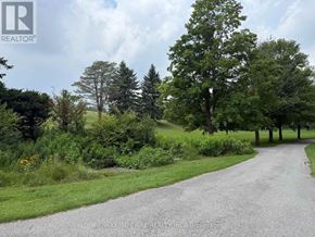 Whitchurch-Stouffville apartment for rent - A gravel road leads through a green, wooded area.