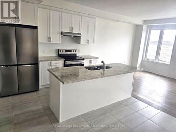 Hamilton (Stoney Creek Mountain) apartment for rent - A kitchen with a granite countertop and stainless steel appliances.