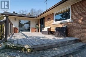 Milton (Mn Milton North) apartment for rent - A house with a wooden deck and a patio area.