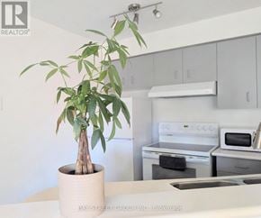 Toronto (Bay Street Corridor) condo for rent - A plant in a pot sits on a countertop in a kitchen.