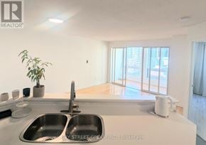Toronto (Bay Street Corridor) condo for rent - A modern kitchen with a sink and a plant on the counter.