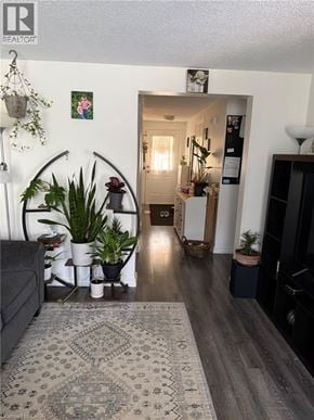 Guelph townhouse for rent - A living room with a grey couch and a rug.