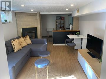 Toronto (Trinity-Bellwoods) apartment for rent - A living room with a grey couch and a fireplace.
